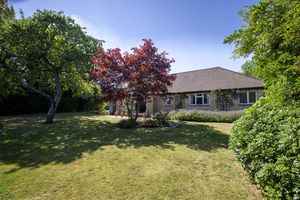 Garden- click for photo gallery